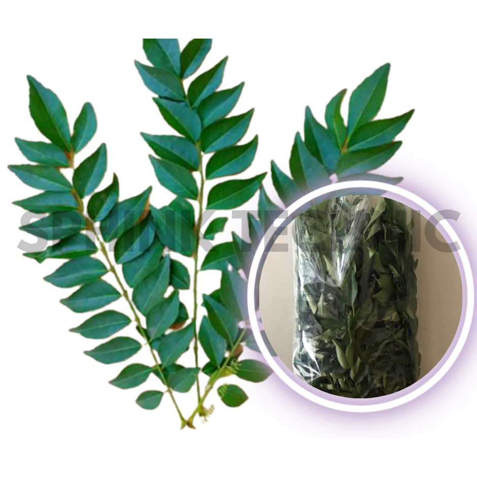 

Daun Kari Segar 50 Gram