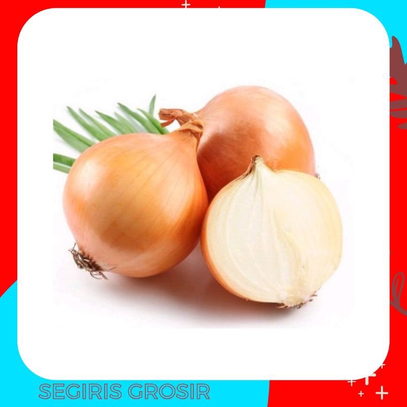 

Bawang Bombay Bombai segar