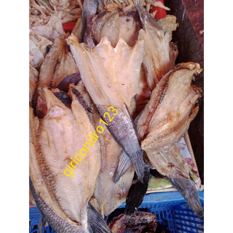 

IKAN ASIN GABUS#500GR#//SUNGAI ALAM BEBAS