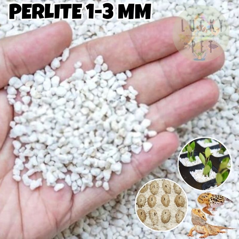 PERLITE 1 KG 500 GR media tanam tanaman alas substrate substrat media penetasan telur reptil gecko t