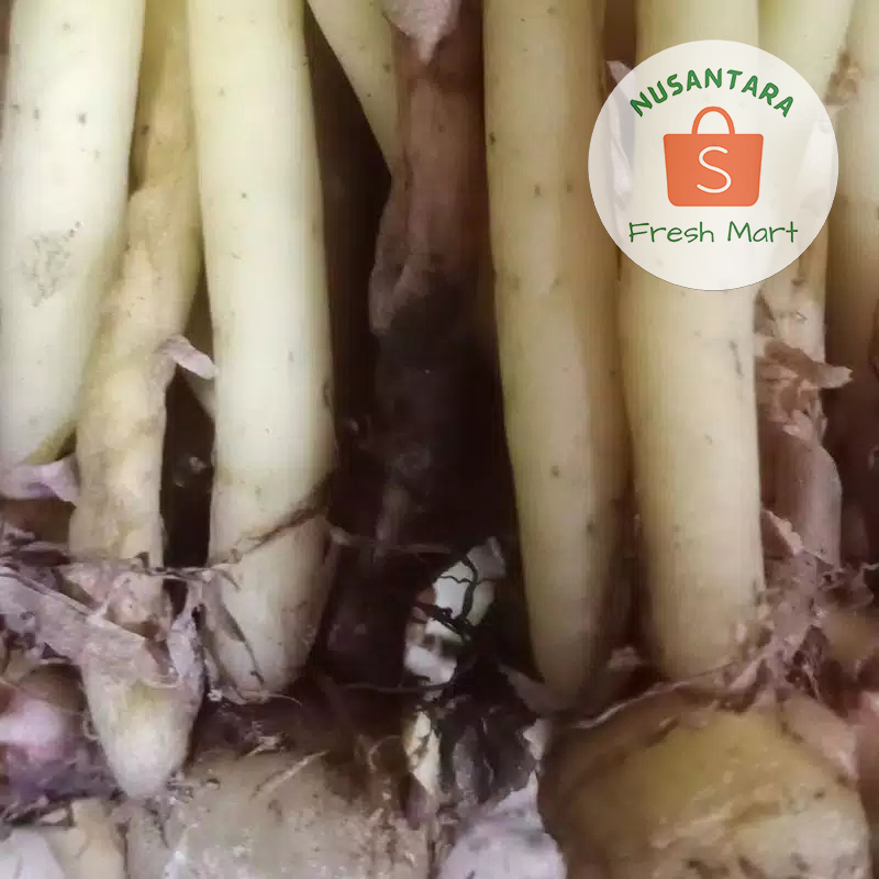 

Temukunci Segar 1 kg