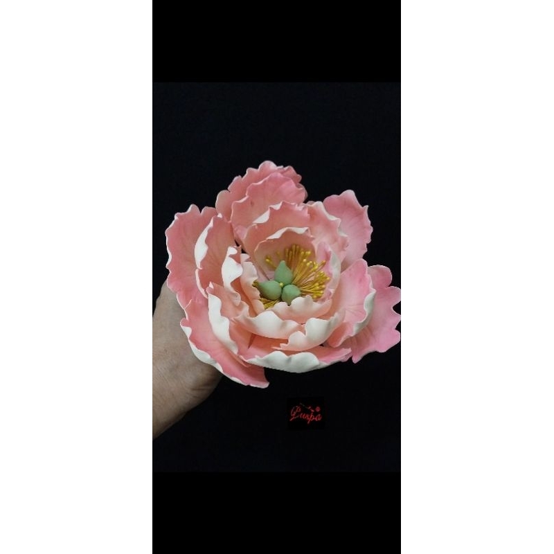 

(550/PPEGB9)Gumpaste Flower Sugar Flower/Bunga Gumpaste Peoni
