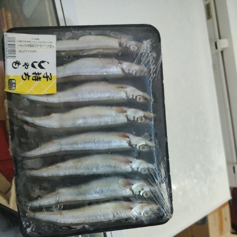 

Ikan Shisamo alias Ikan Cipung VIRAL!!!