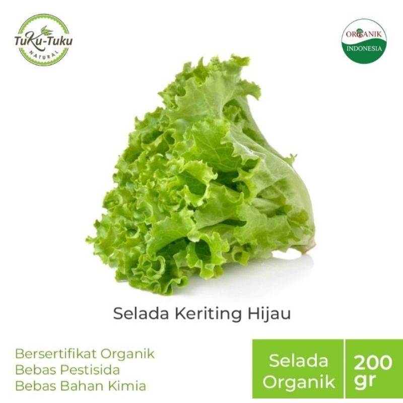 

Pay 2 Get 3 Selada Keriting Hijau Bsp Farm 200gr