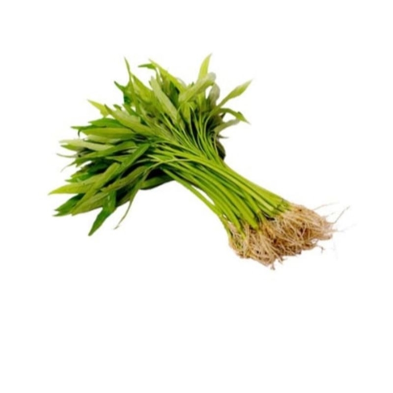 

Kangkung Organik 250g Kangkung Segar