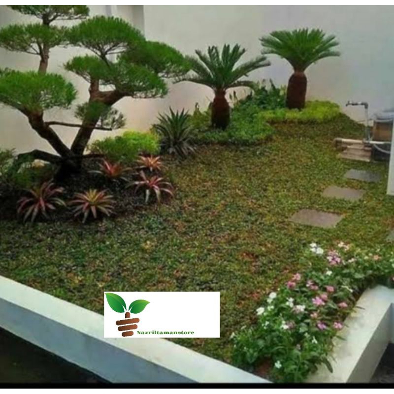 Taman minimalis / pembuatan taman minimalis depan rumah