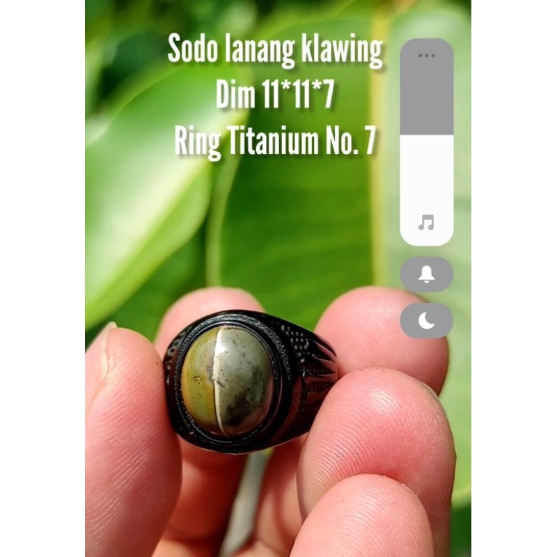 Batu Akik Sodo lanang