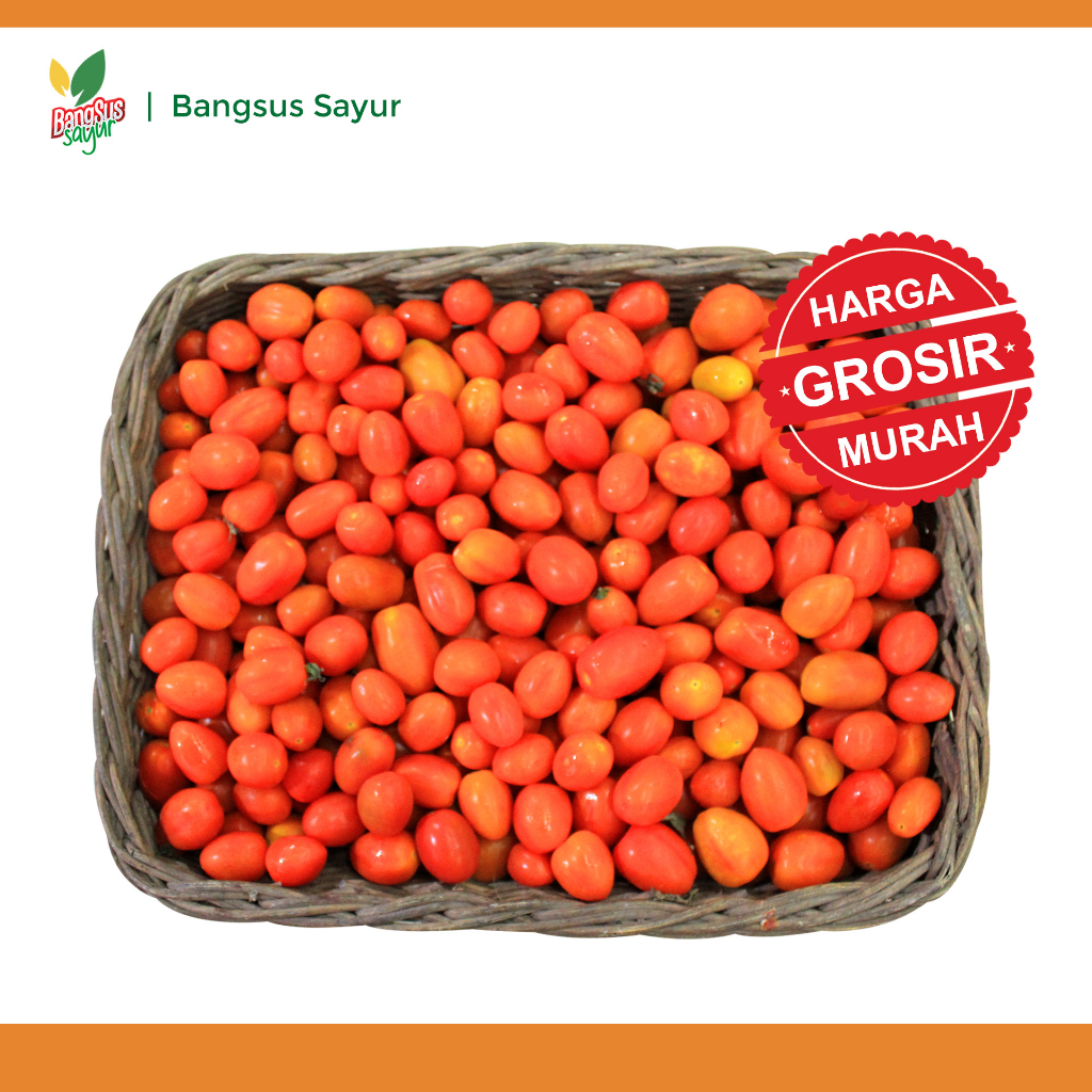 

Tomat Ceri 5Kg Grosir Segar Murah