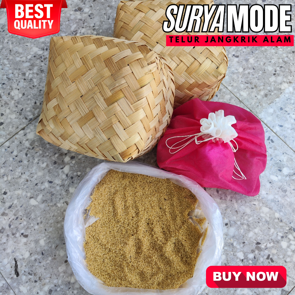 

Telur jangkrik alam solo KUALITAS TERBAIK