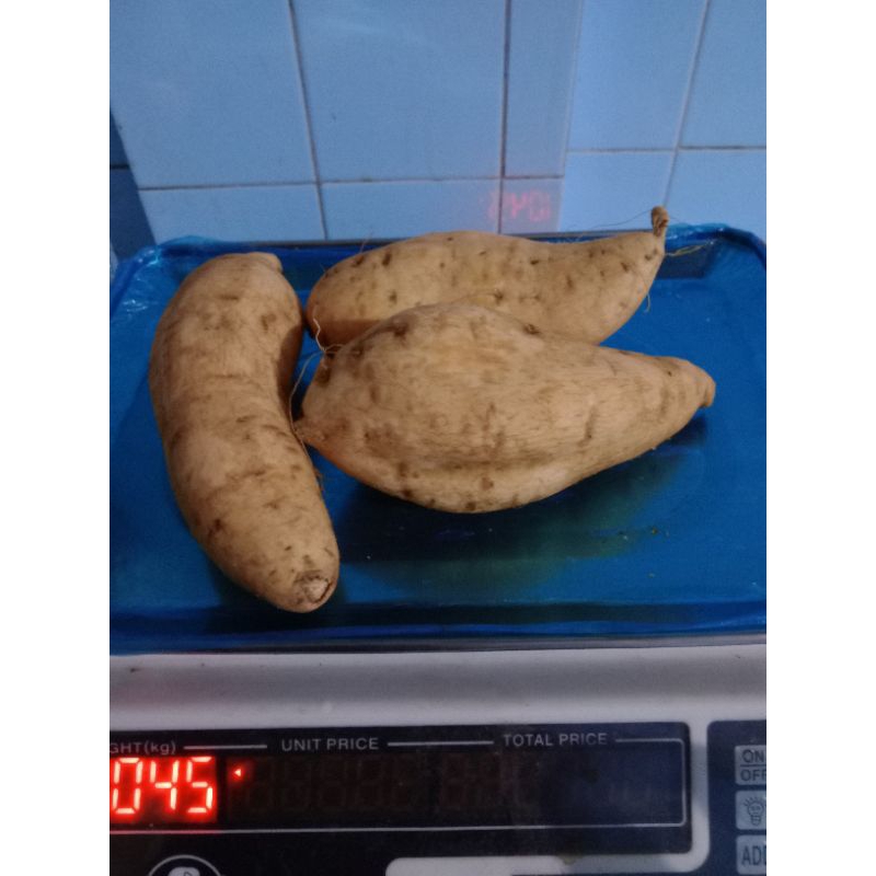 

Ubi Jalar 1 Kilogram