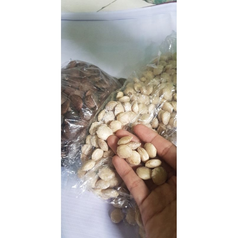 

kacang gunung/kacang sancha inchi/kacang sehat/ kacang bintang