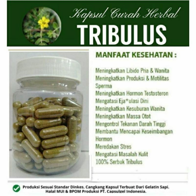 

TRIBULUS 100 KAPSUL OBAT HERBAL TERBAIK (PREMIUM QUALITY)