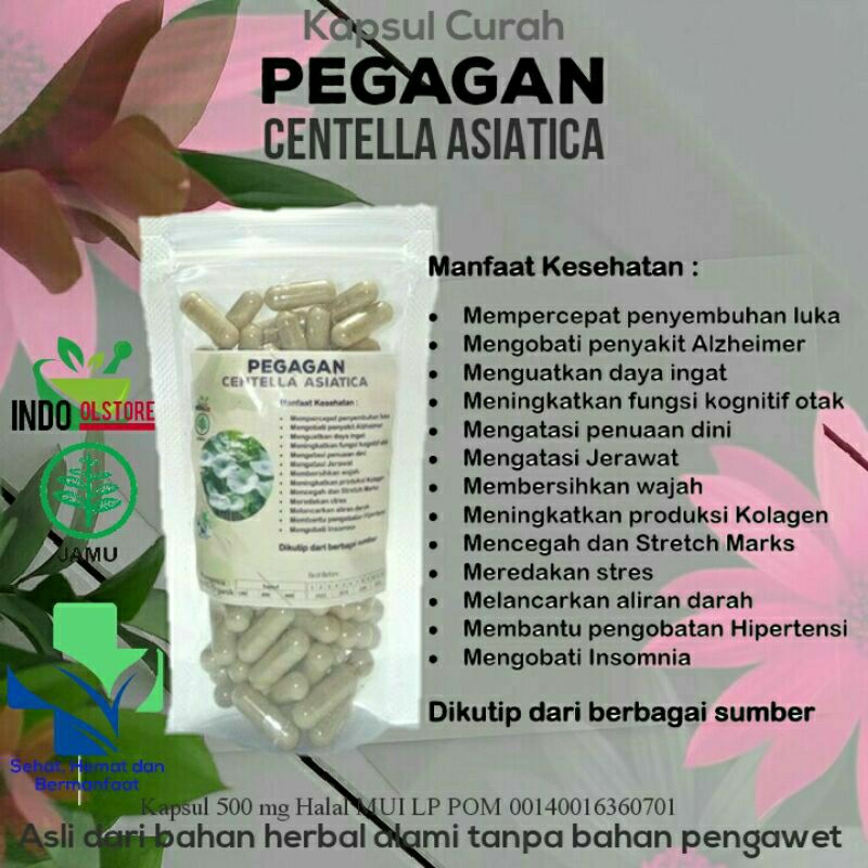 

PEGAGAN 100 KAPSUL OBAT HERBAL TERBAIK TOPP SELLER (PREMIUM QUALITY)