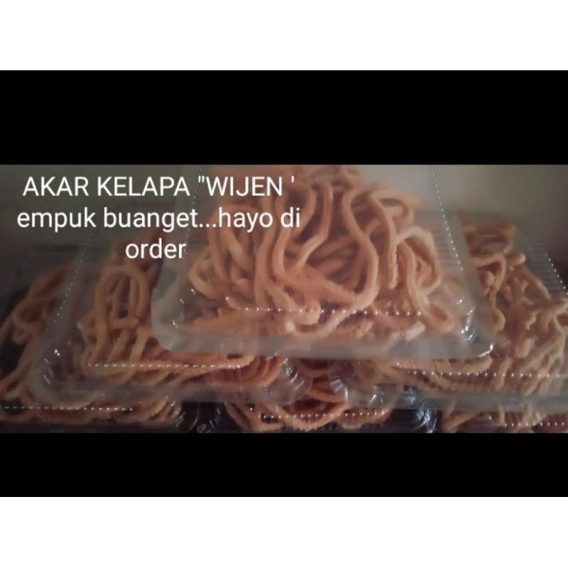 

AKAR KELAPA WIJEN EMPUK