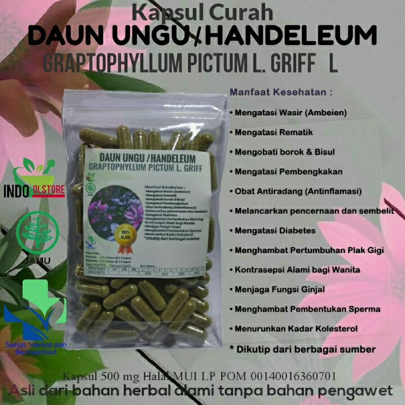 

DAUN UNGU 100 KAPSUL OBAT HERBAL TERBAIK TOPP SELLER (PREMIUM QUALITY)