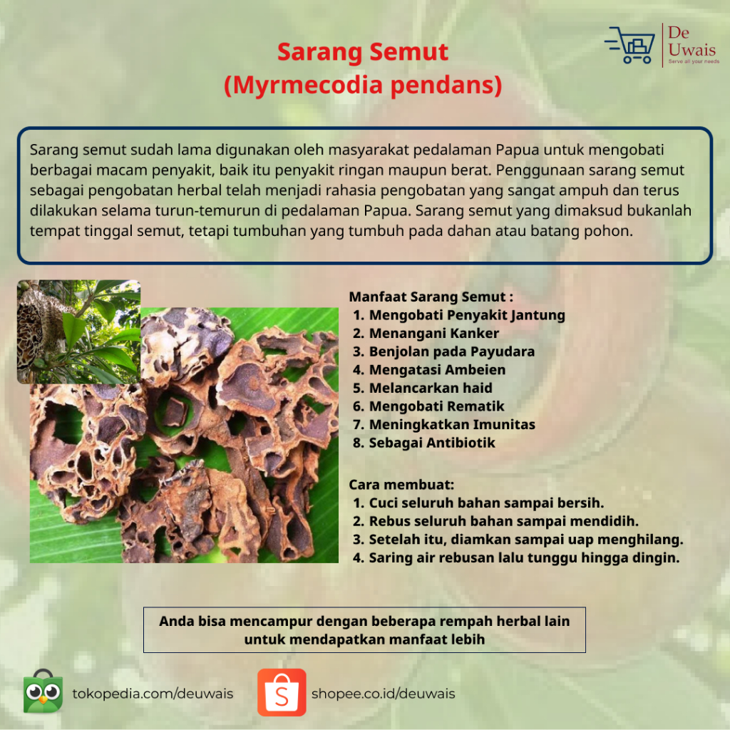 

Sarang Semut Rempah Kering Langsung Seduh/Bahan Jamu Herbal Obat Ambeien