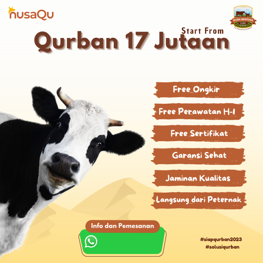 Hewan Qurban Murah 2023 Sapi Domba Kambing