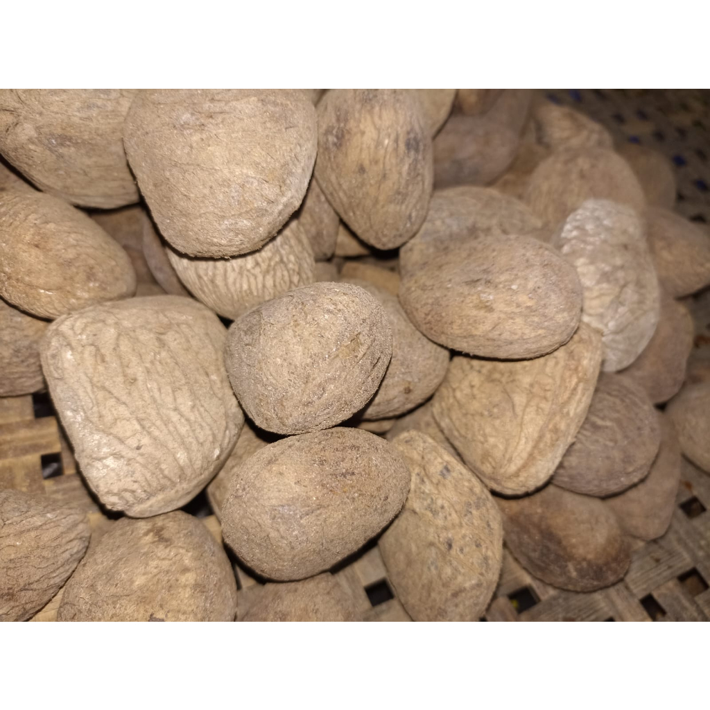 

RB Pucung/Kluwek Kering Fresh 1kg