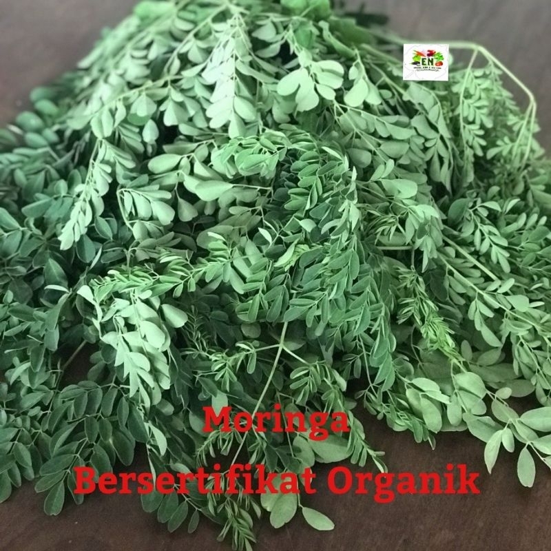 

1pc Sayur Moringa 100% Sertifikat Vegetable Murah Sehat Healthy Life Grosir Supermarket