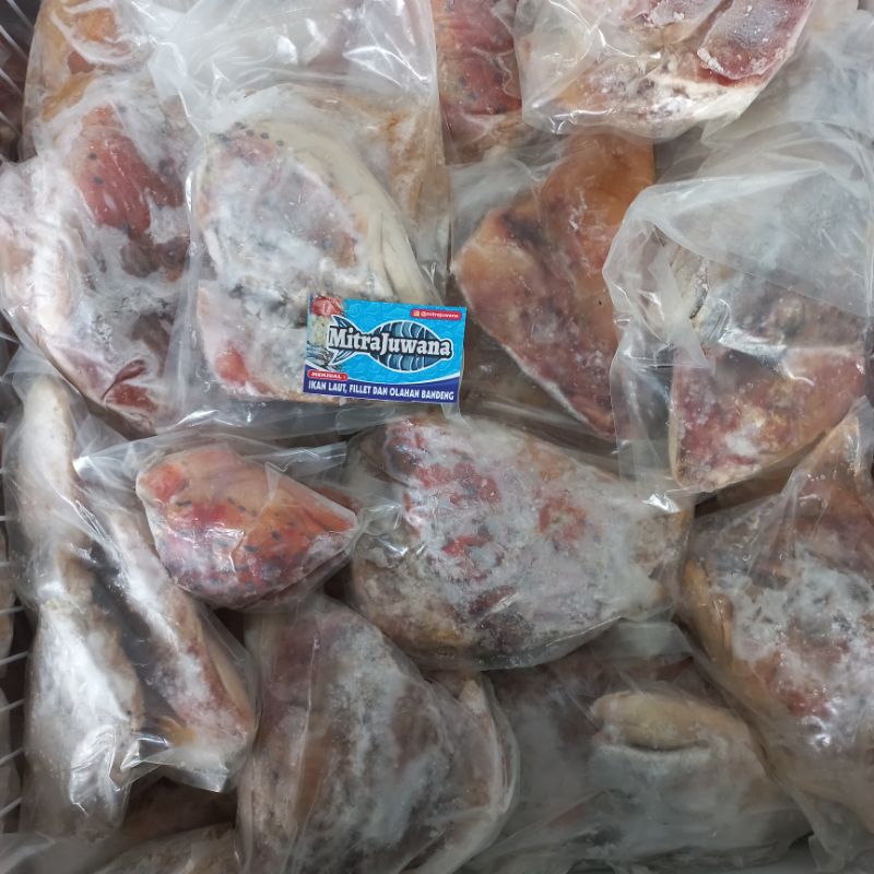 

Kepala kerapu lodi PROMO