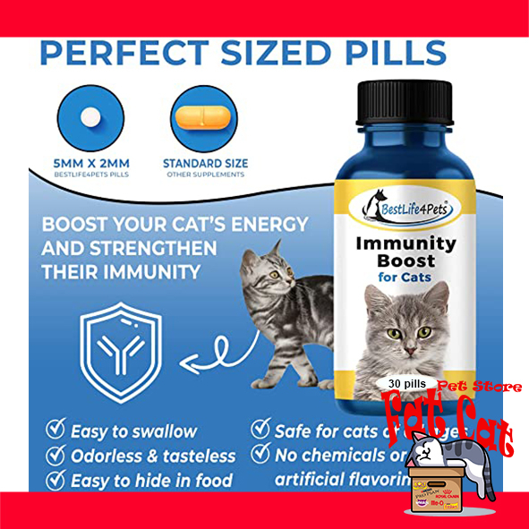 Vitamin BestLife4Pet immune booster Vitamin untuk hewan vitamin kucing - Per Pil