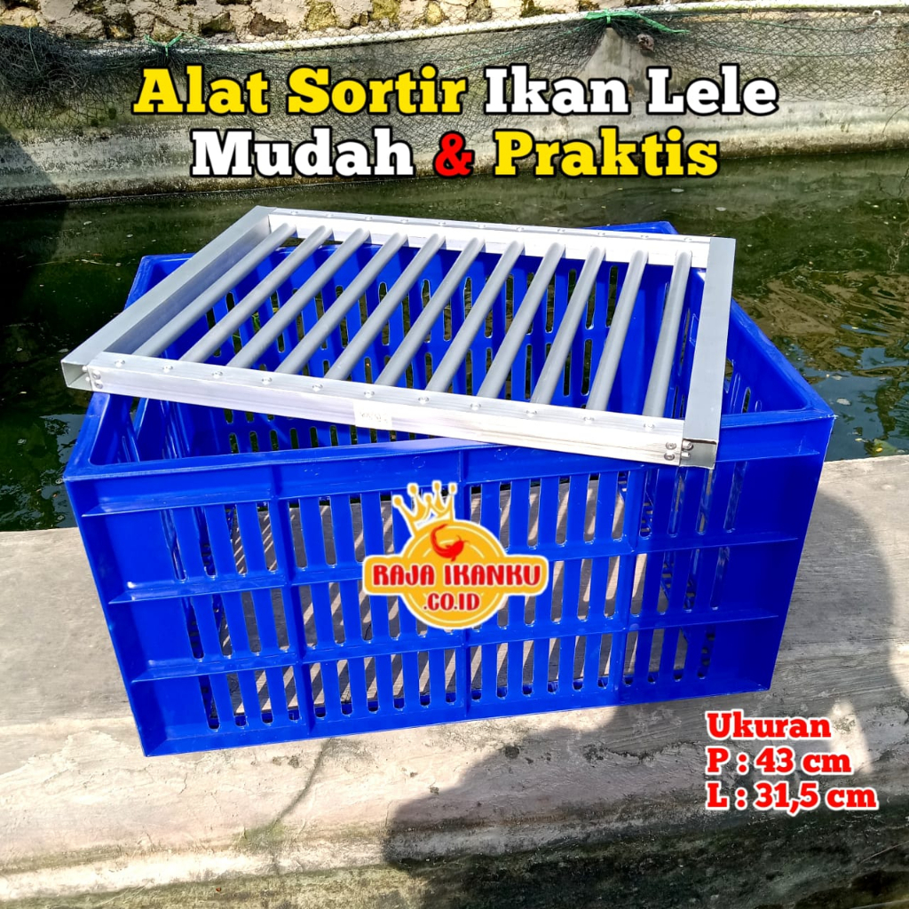 Alat Sortir Ikan Lele Konsumsi Alat Sortir Lele Remaja Alat Sortir Ikan Lele LBG.