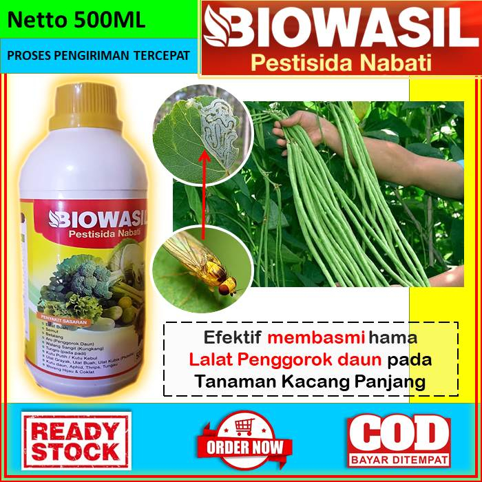 OBAT ANTI HAMA LALAT PENGGOROK DAUN UNTUK TANAMAN KACANG PANJANG [BIOWASIL] Obat Cair Pestisida Naba