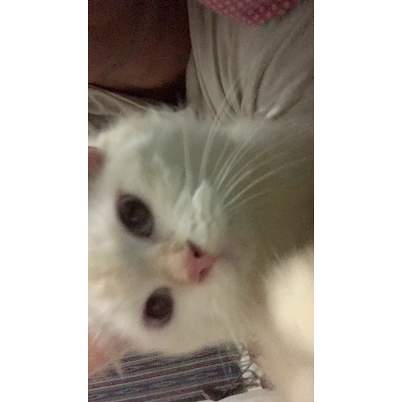 

DUS + BUBBLE WRAP TAMBAHAN!