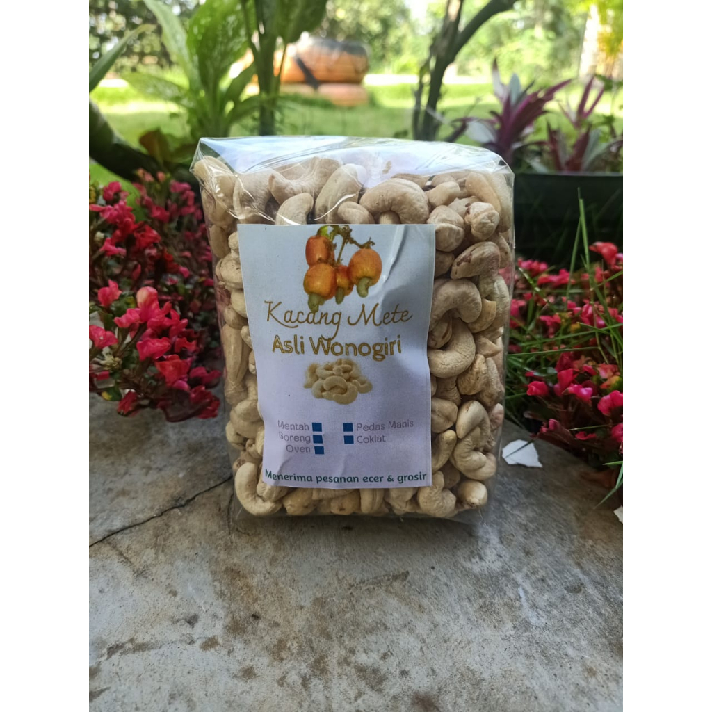 

Kacang mete MENTAH biasa 500 gram