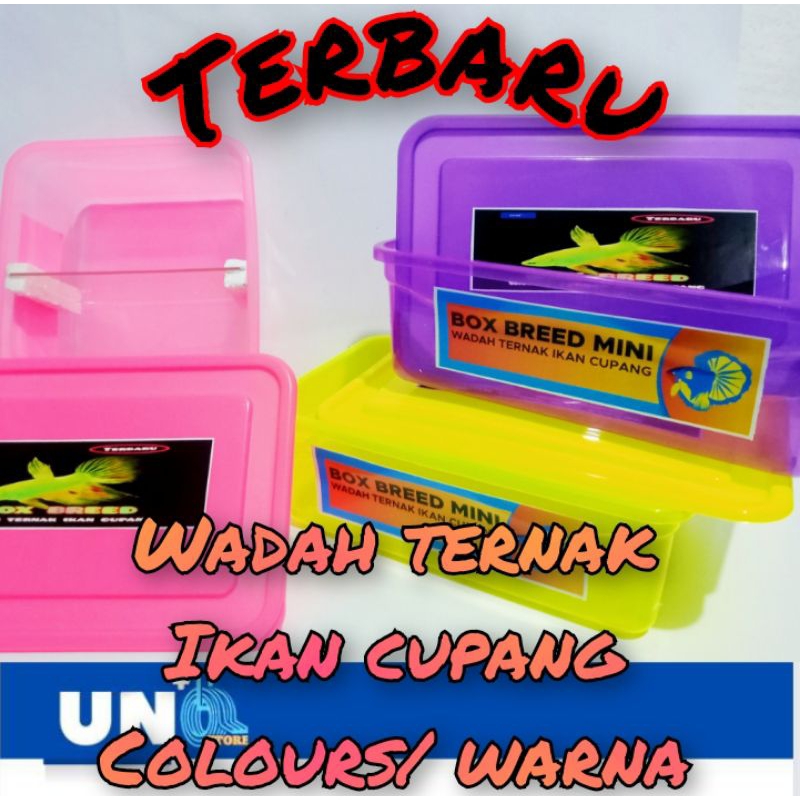 BOX BREED / BOXBREED WADAH TERNAK PENJODOHAN IKAN CUPANG