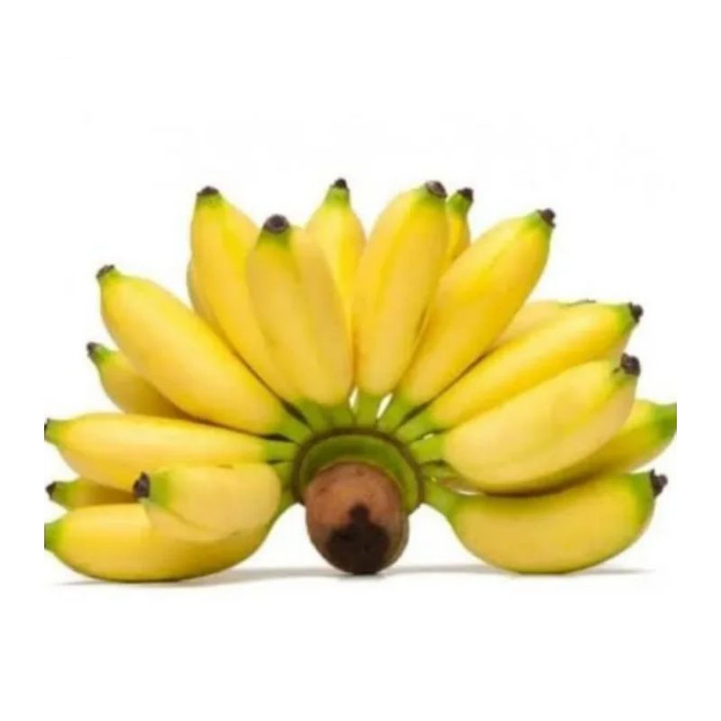 

pisang banten segar