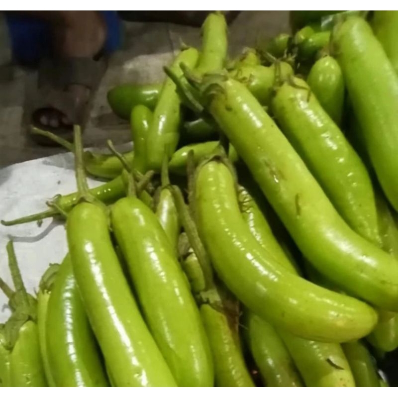 

terong telunjuk lemak 500gr