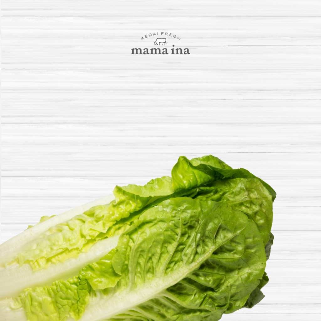 

Baby Romaine 300g