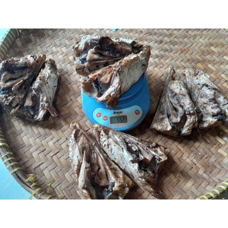 

Kepala Manyung Asap Ukuran Kecil (Pulau Jawa saja)