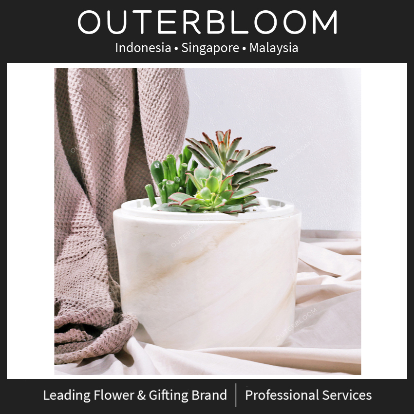 

Hampers Natal - Outerbloom Greenery Odyssey Succulent