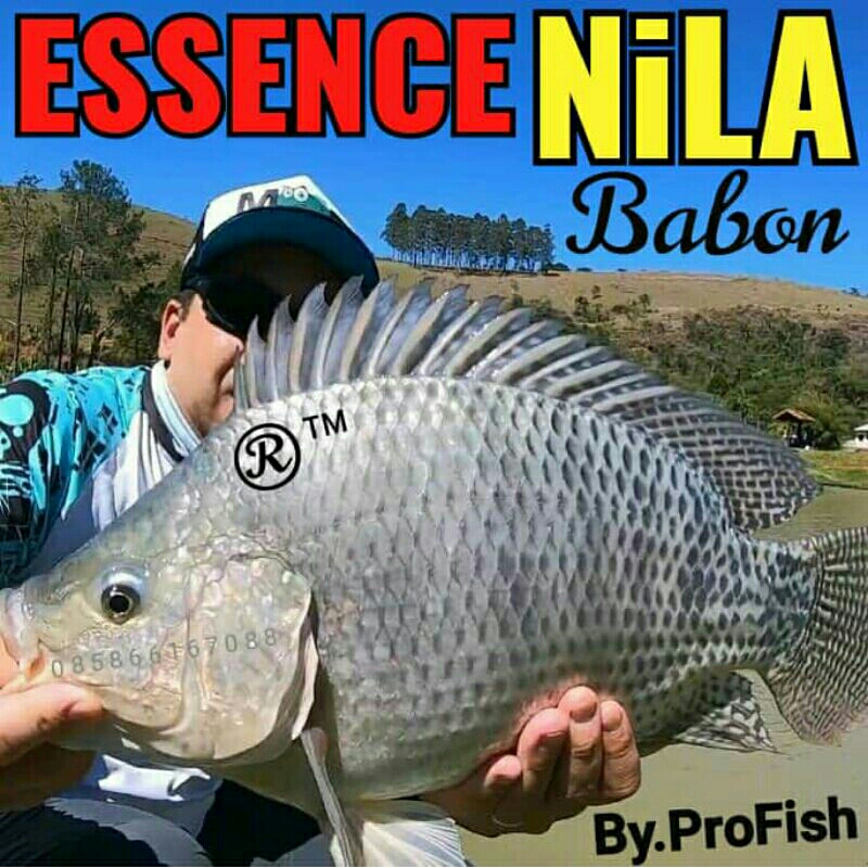 ESSEN NILA BABON