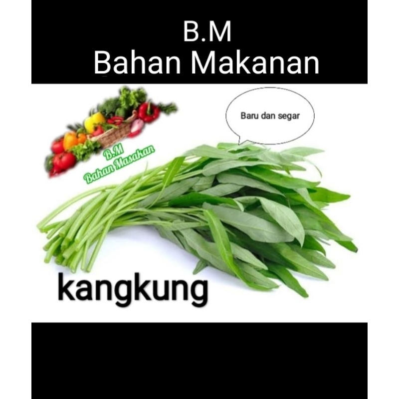

Kangkung Segar
