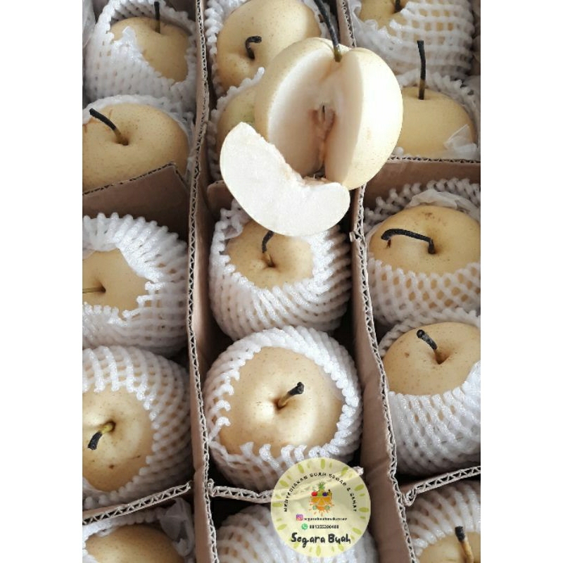 

Buah Pear Century Manis Segar 500 gram