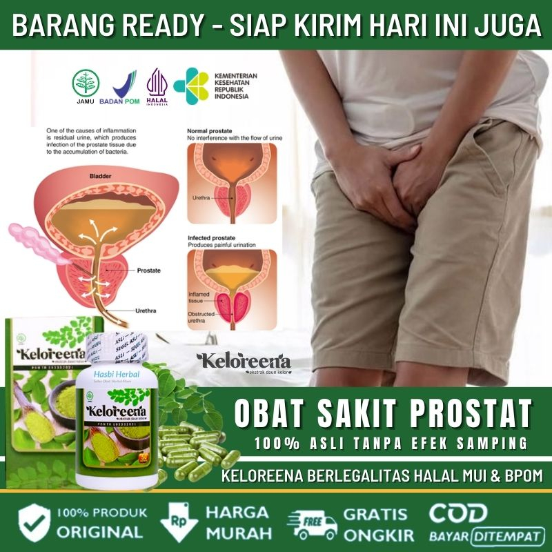 Obat Herbal Nyeri Prostat, Gangguan Prostat Pria, Obat Pembesaran Kelenjar Prostat, Obat Penyempitan