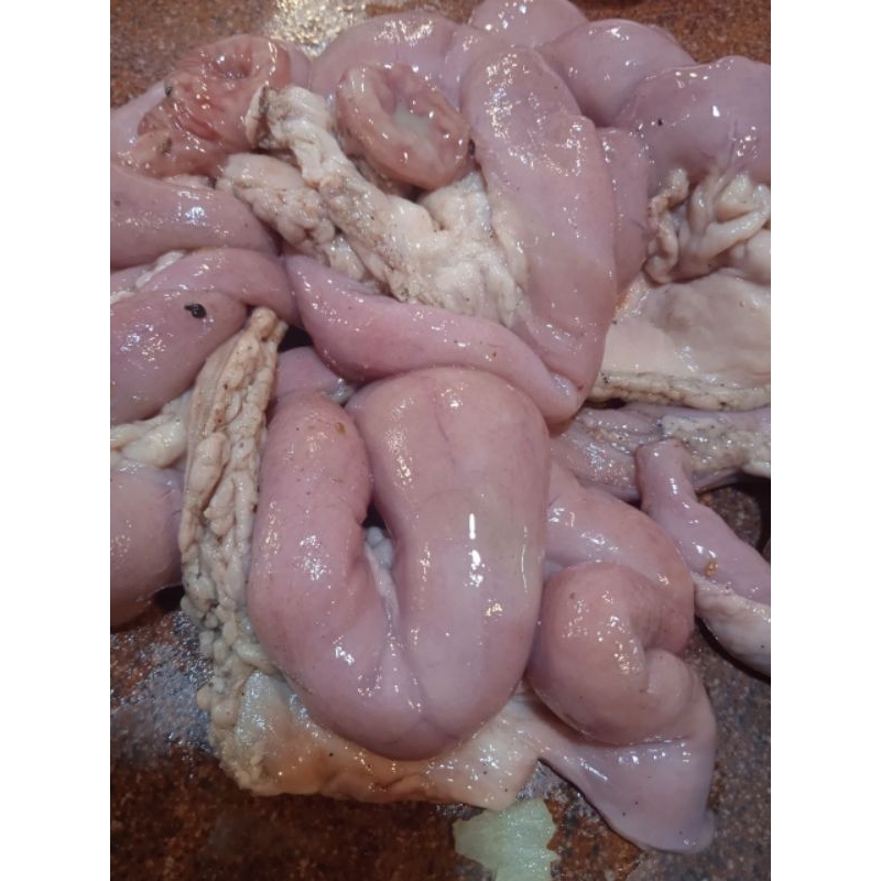 

Usus Sapi