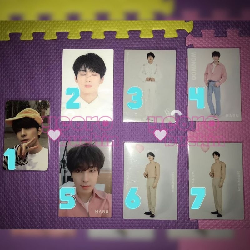 READY STOCK | Seventeen Wonwoo - Photocard PC TC Henggarae Dome Tour Haru