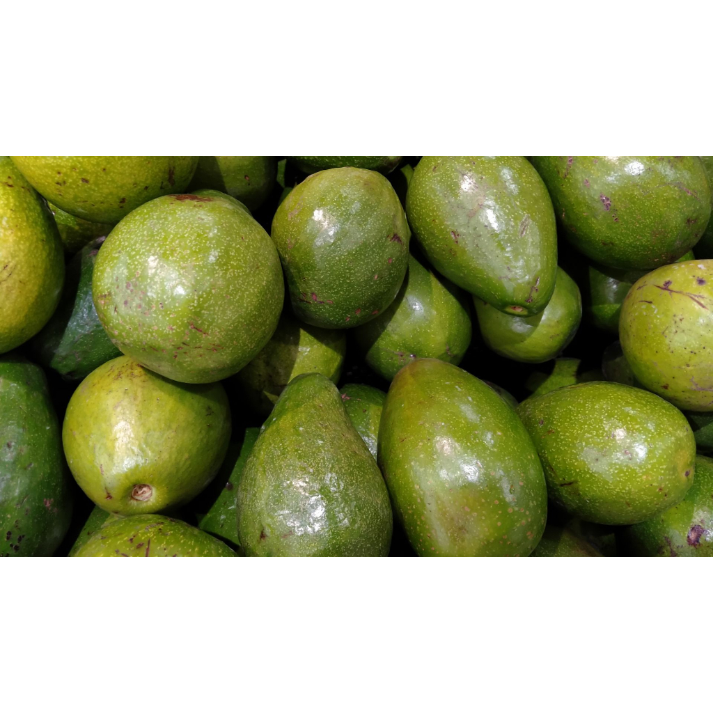 

Alpukat 1kg