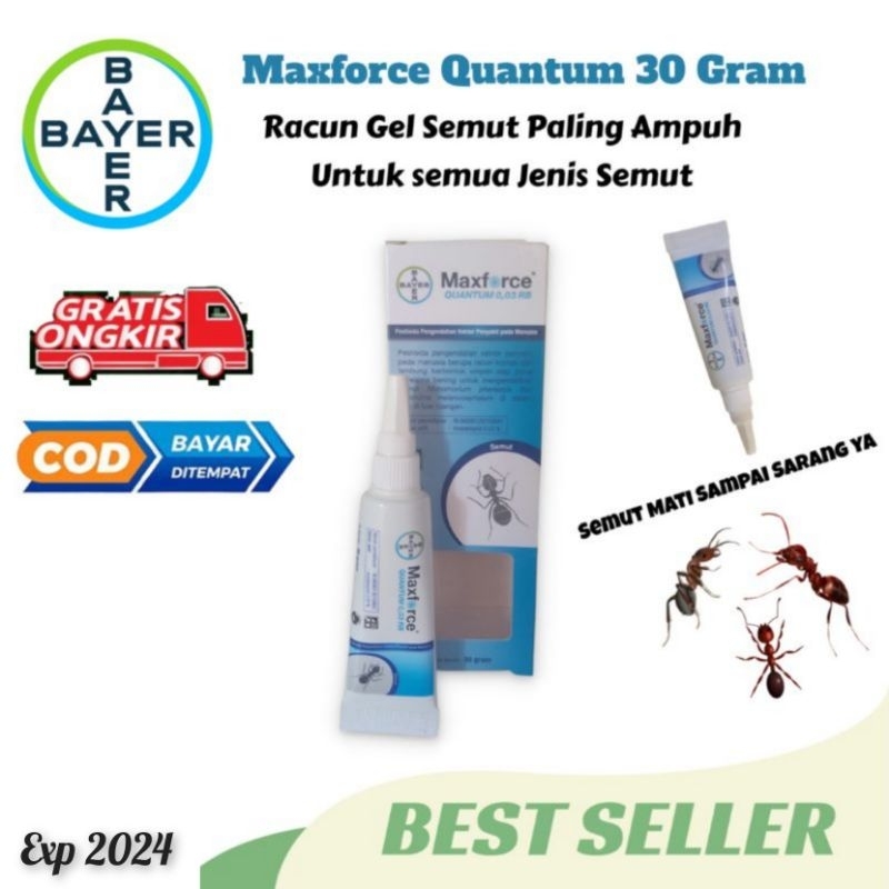 Racun Semut Gel Maxforce Quantum @ 30 Gram Produk Bayer