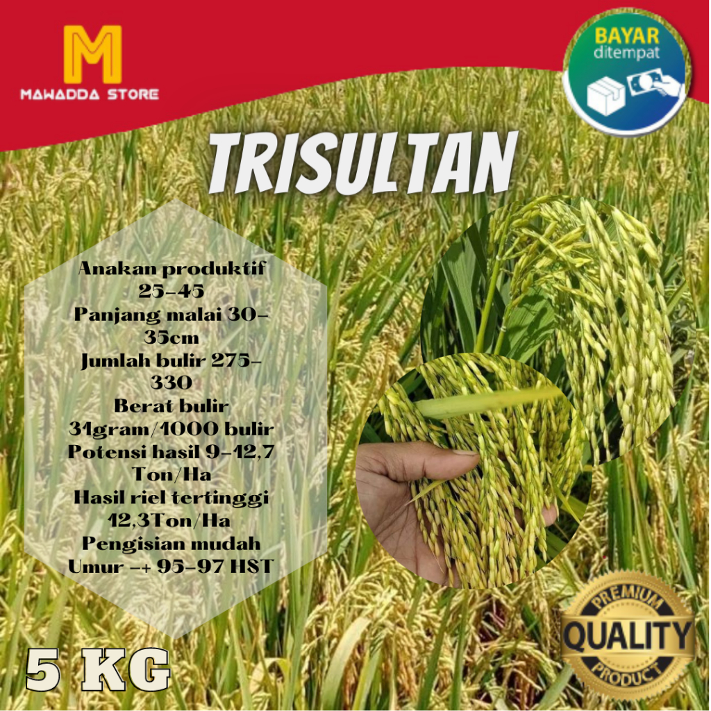 Benih Padi Unggul Tri Sultan Bibit Padi Trisultan 5kg