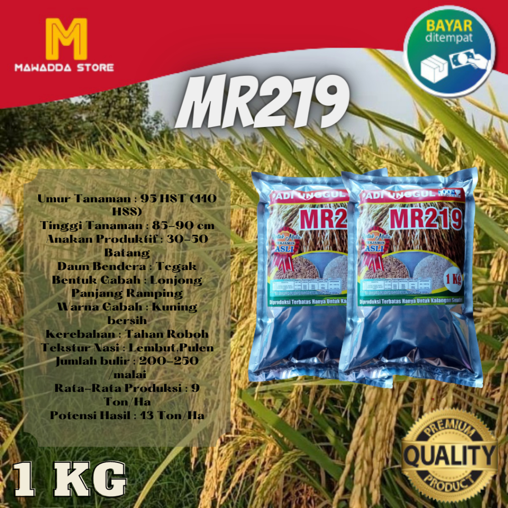 Biji Padi Bibit Unggul  Padi MR 219 1Kg