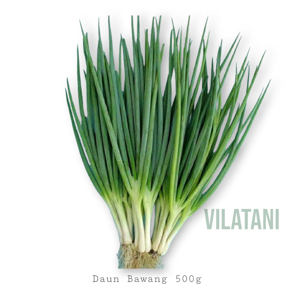 

DAUNG BAWANG FRESH 500GR