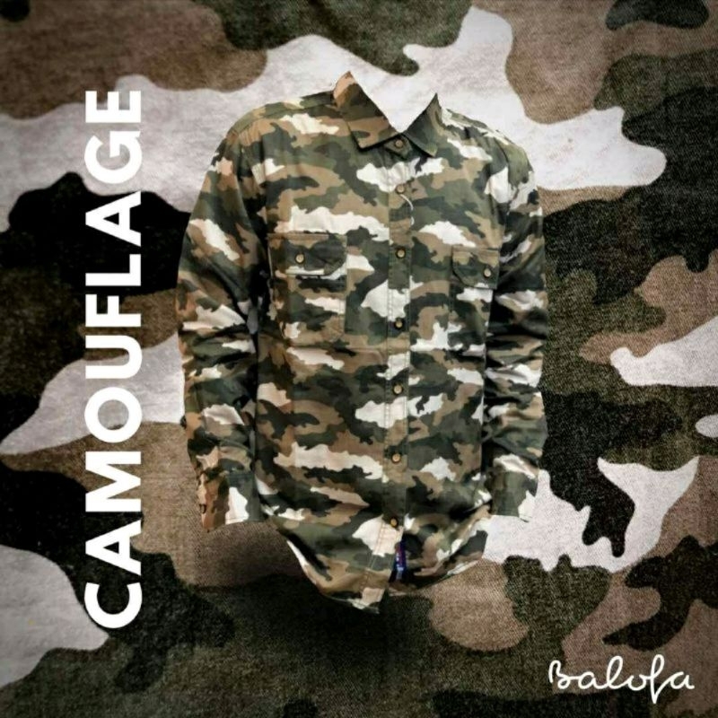 kemeja kerah balofa / kemeja cardova