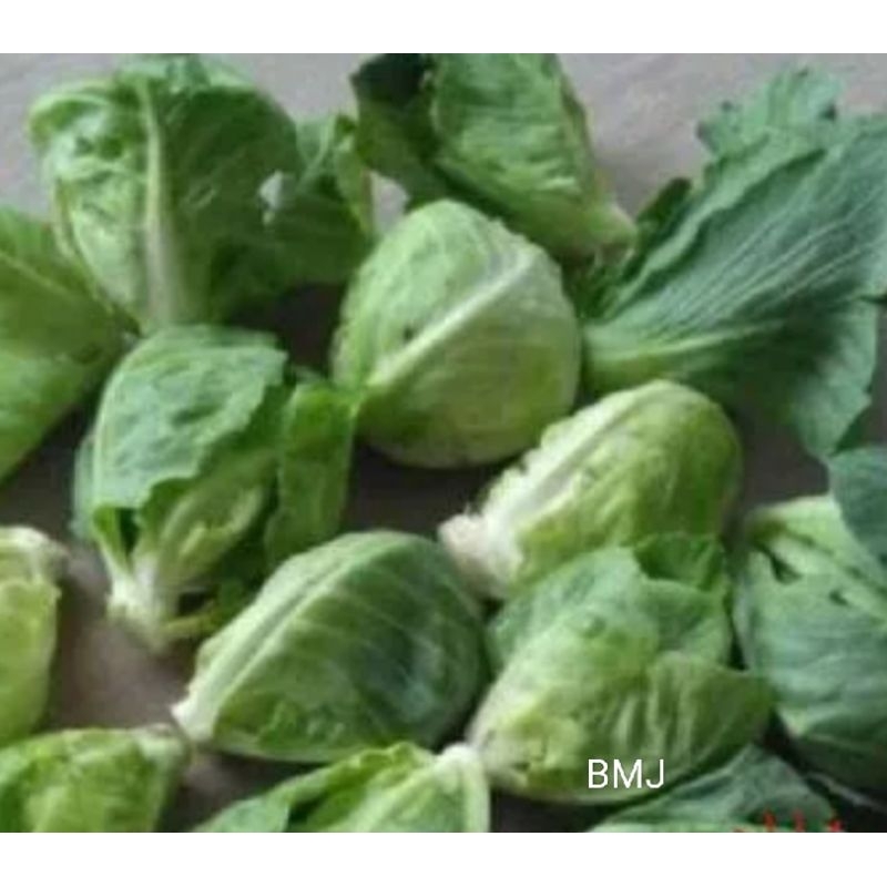 

Tunas Kol / Cuciwis / Baby kol / Comeo