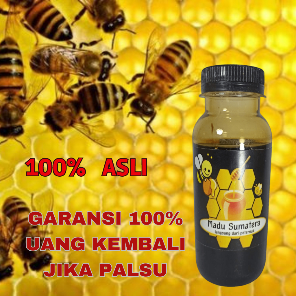 

Madu Sumatera Manis Murni 100% ASLI
