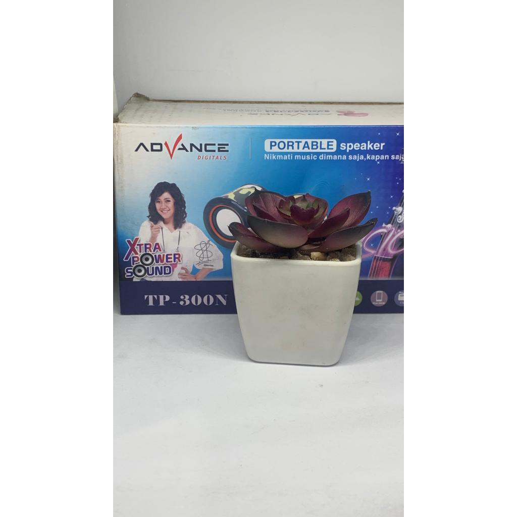 PORTABEL SPEAKER/SALON ADVANCE FULL BASS